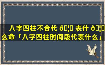 八字四柱不合代 🦟 表什 🦈 么命「八字四柱时间段代表什么」